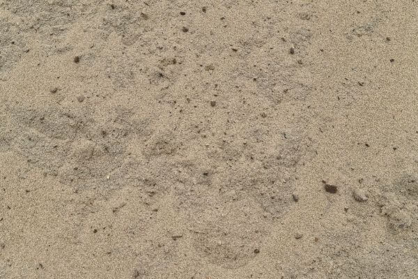 Organic Manure Sand